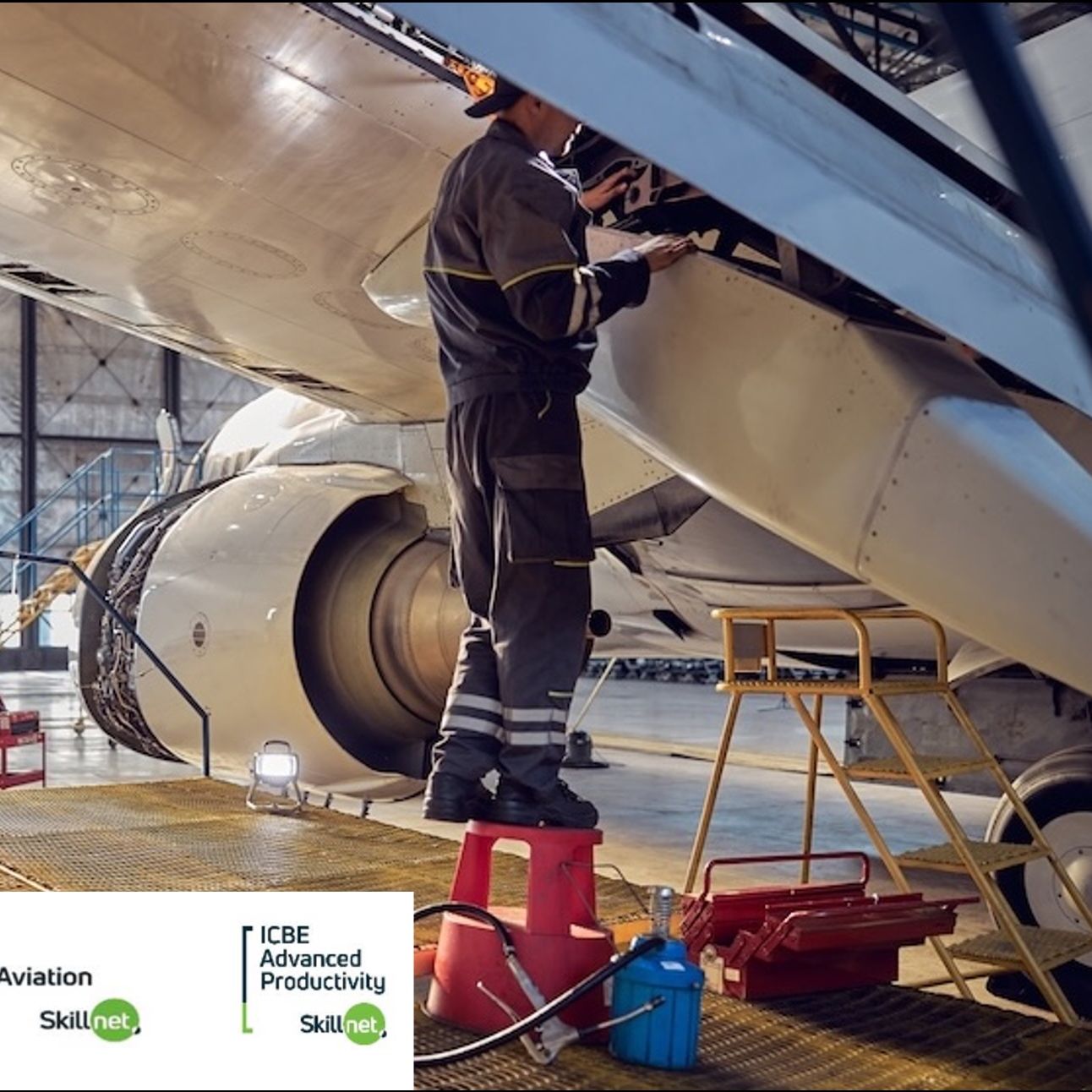 Partnership with the Irish Centre for Business Excellence – Skillnet