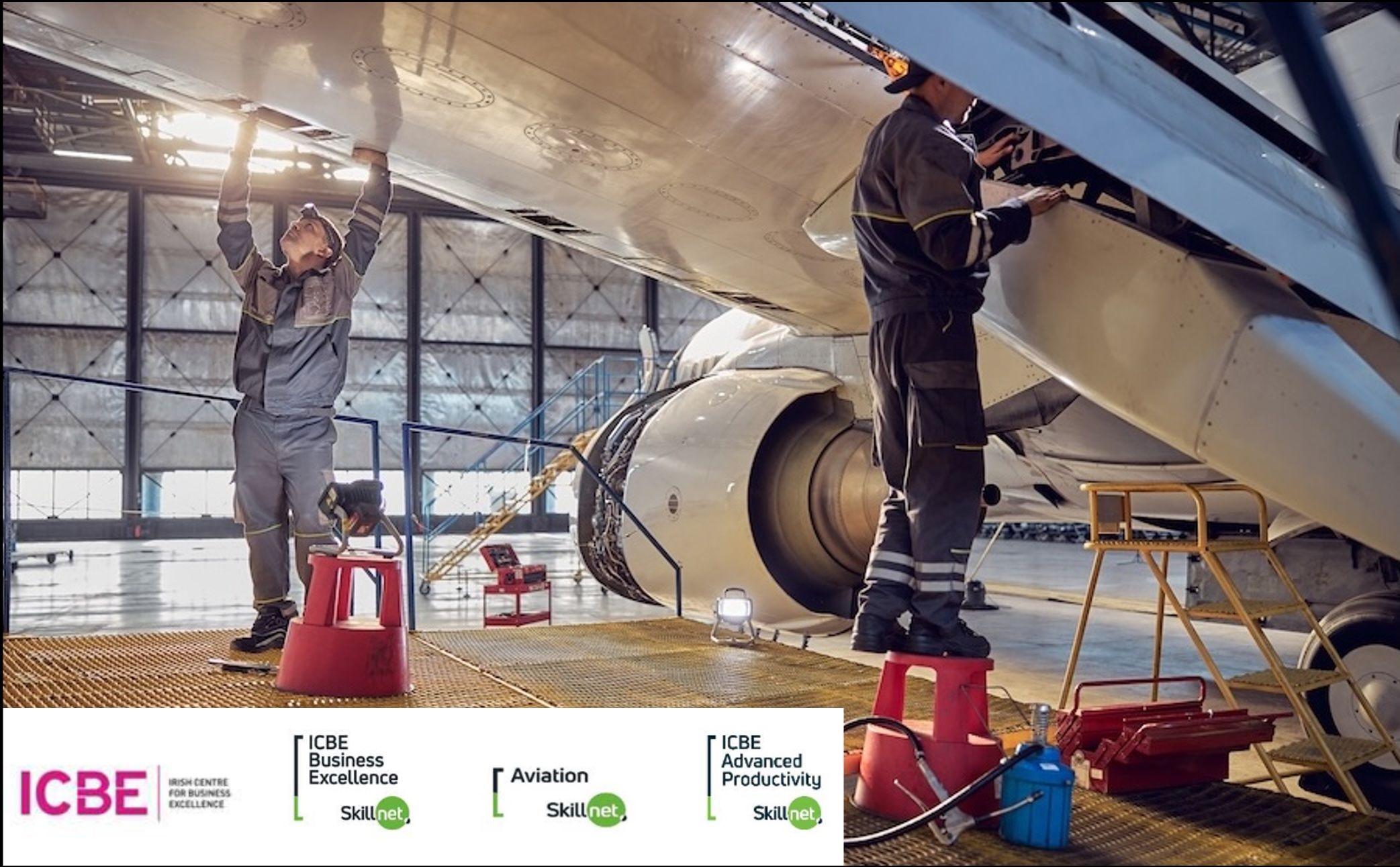 Partnership with the Irish Centre for Business Excellence – Skillnet